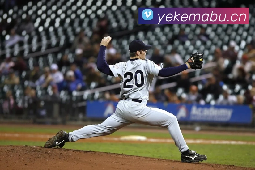 开云官方网站app下载入口平台生态图