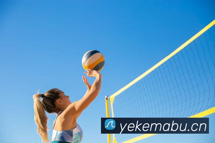 开云官方网站app下载入口APP 封面图